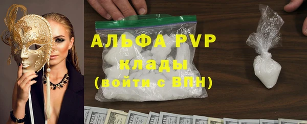 прущие крисы Ельня