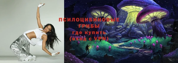 2c-b Елизово