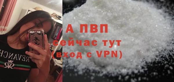 прущие крисы Ельня