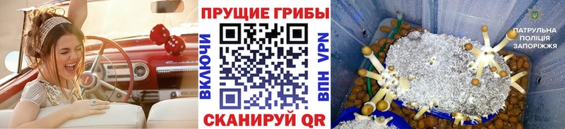 Псилоцибиновые грибы ЛСД  Сальск 