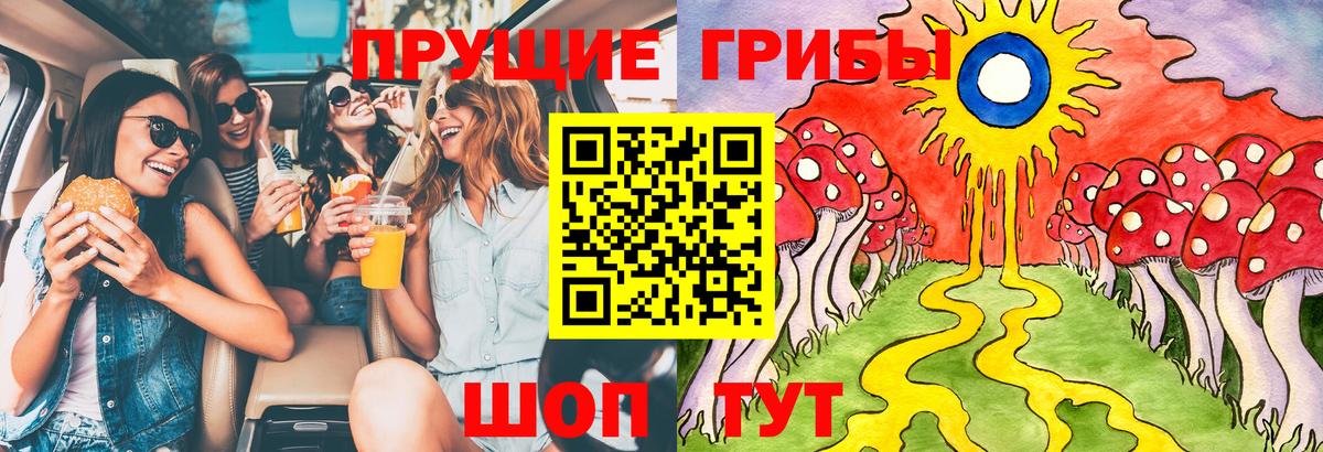наркотики  Вход с VPN  Сальск  Галлюциногенные грибы Psilocybe 