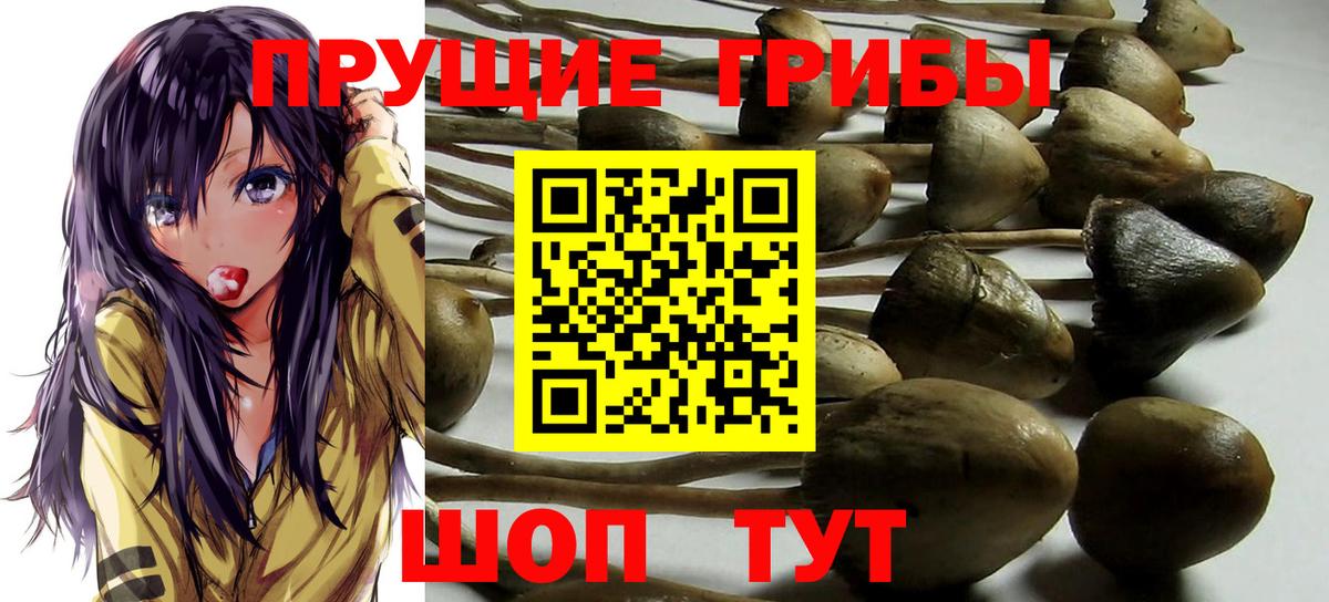 Галлюциногенные грибы прущие грибы Сальск