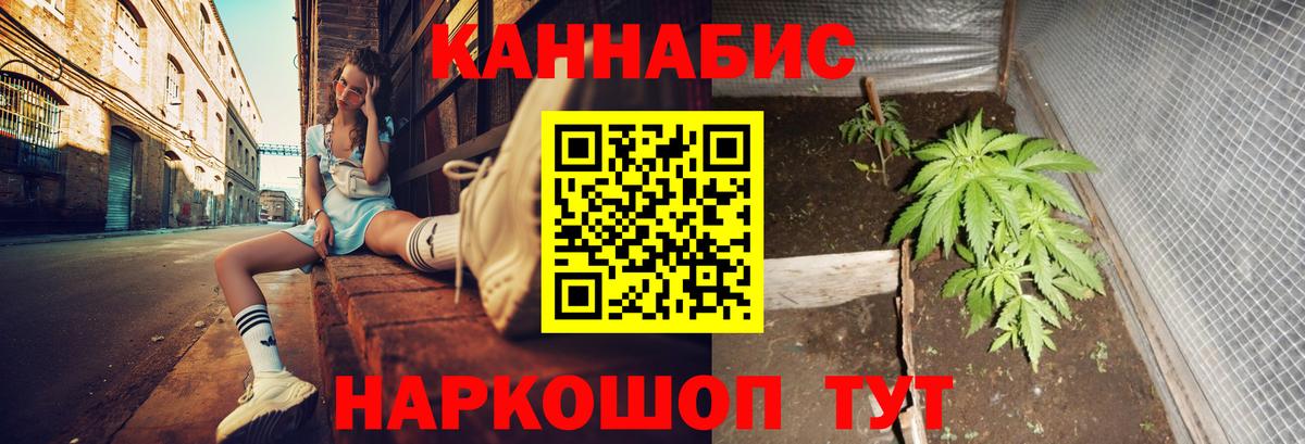 Марихуана гибрид Сальск